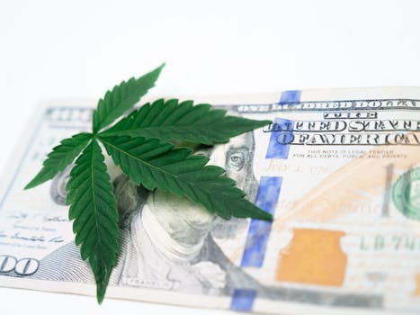 金融法草案公开征求意见,筑牢金融强国法治基础。 股票财经