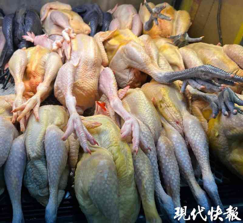 市场低价鸡源头探秘:淘汰蛋鸡常被冒充老母鸡售卖。 健康养生