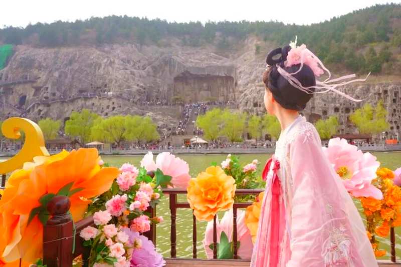 四月春季趋势:洛阳牡丹赏花季的避坑与深度游策略 文化旅游