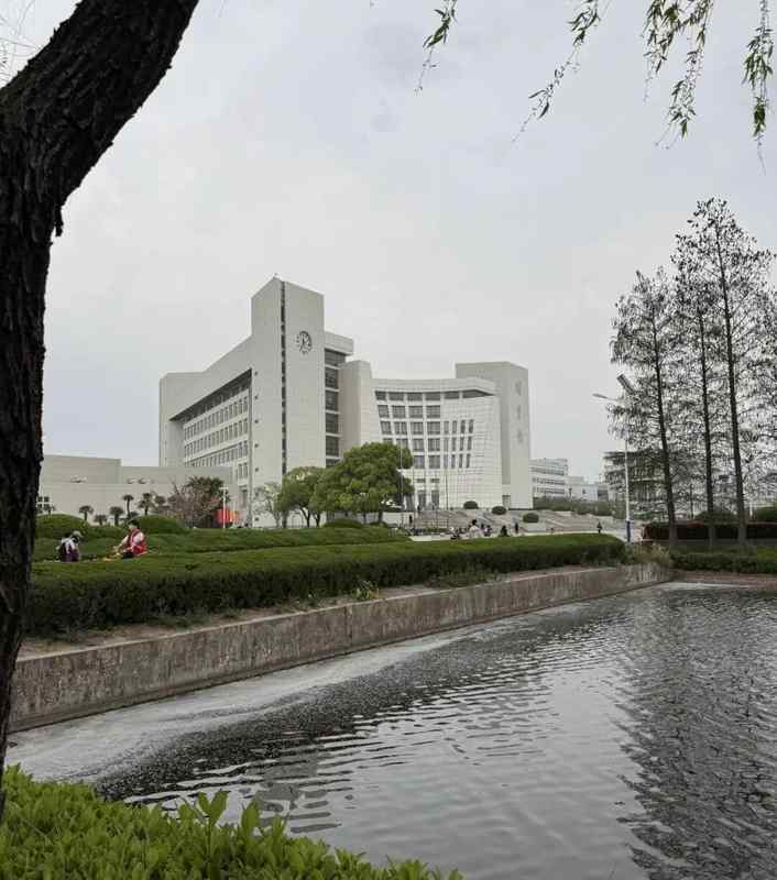 技术宅亲历:我在上海大学经历的四个飞絮季,吐血整理科学防护方法论 健康养生
