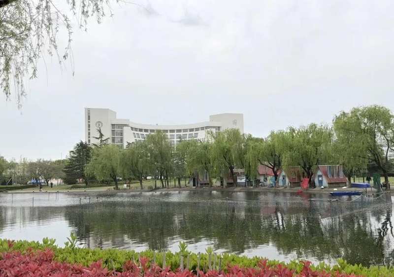 技术宅亲历:我在上海大学经历的四个飞絮季,吐血整理科学防护方法论 健康养生