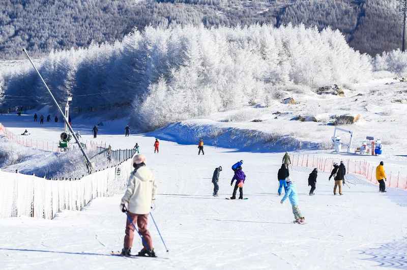  冰雪产业深度解码：从规模扩张到结构跃迁的数据逻辑与产业变革 文化旅游 冰雪产业深度解码：从规模扩张到结构跃迁的数据逻辑与产业变革 文化旅游
