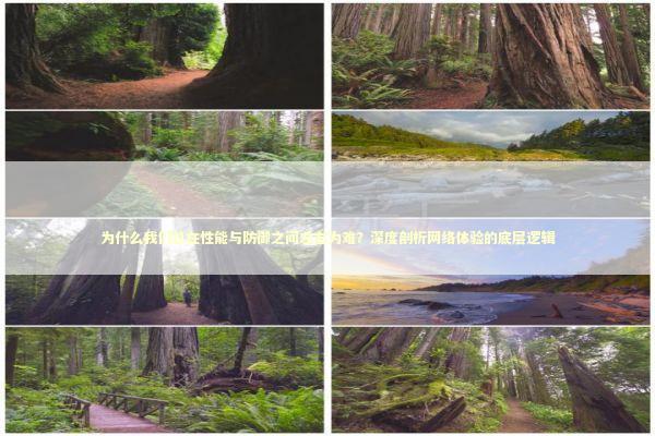 为什么我们总在性能与防御之间左右为难?深度剖析网络体验的底层逻辑 为什么我们总在性能与防御之间左右为难?深度剖析网络体验的底层逻辑 IT技术