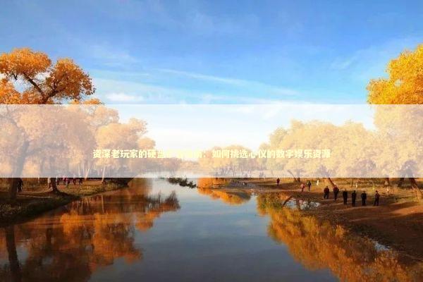 资深老玩家的硬盘扩容指南：如何挑选心仪的数字娱乐资源