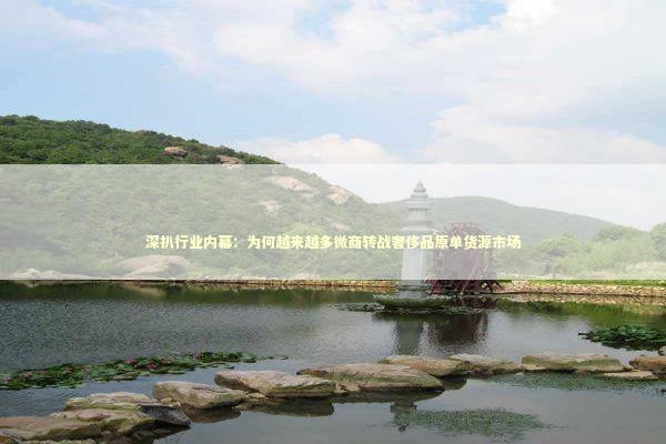 深扒行业内幕：为何越来越多微商转战奢侈品原单货源市场 企业服务